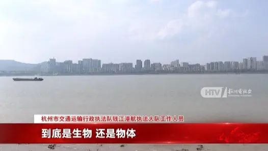 水面疑似出现高速不明物：可能超5米米乐m6江西天降火球未头绪钱塘江(图6)