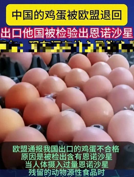 回！含有恩诺沙星山姆排队的人更多了米乐m6网站我国出口欧盟的鸡蛋被退(图13)