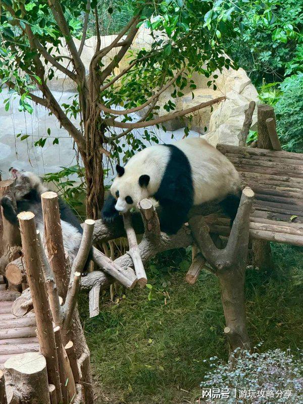 几月份去旅游景点 玩转精华！成都的著名景点推荐 四川适合(图6)